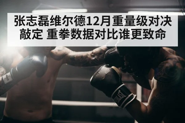 张志磊维尔德12月重量级对决敲定 重拳数据对比谁更致命